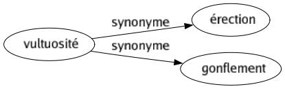 Synonyme de Vultuosité : Érection Gonflement 