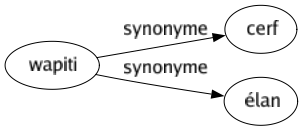 Synonyme de Wapiti : Cerf Élan 