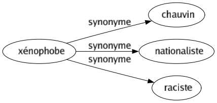Synonyme de Xénophobe : Chauvin Nationaliste Raciste 