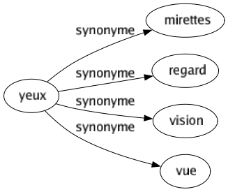 Synonyme de Yeux : Mirettes Regard Vision Vue 