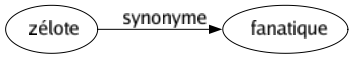 Synonyme de Zélote : Fanatique 