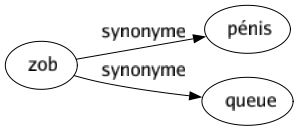 Synonyme de Zob : Pénis Queue 